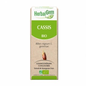 HERBALGEM EXTRAIT DE BOURGEON DE CASSIS BIO 30ML