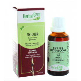 HERBALGEM BIO FIGUIER 30ML