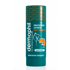 DERMOPHIL INDIEN STICK NATUREL NOISETTE 4g