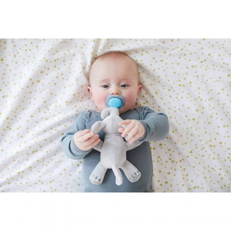 Philips Avent Peluche Attache Sucette + Sucette 0-6 mois Elephant