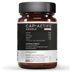 Synactifs Cap Actifs Absolu...