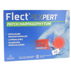 Flect'Expert Patch...