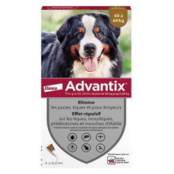 Advantix Chien Solution...