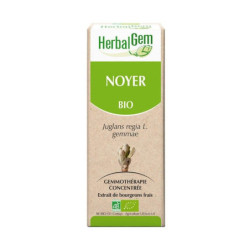 HerbalGem noyer bio - 30ml