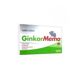 GinkorMemo capital cérébral...