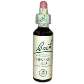 Fleur de Bach Chestnut Bud n°7 - 20 ml - Bach