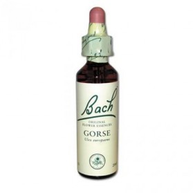 Fleur de Bach Gorse n°13 - 20 ml - Bach