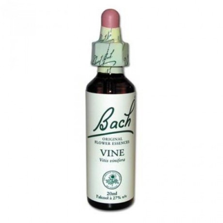 Fleur de Bach Vine n°32 - 20 ml - Bach