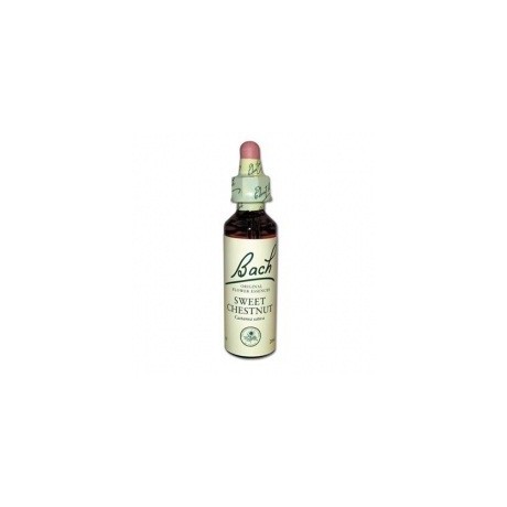 Fleur de Bach White Chestnut n°35 - 20 ml - Bach